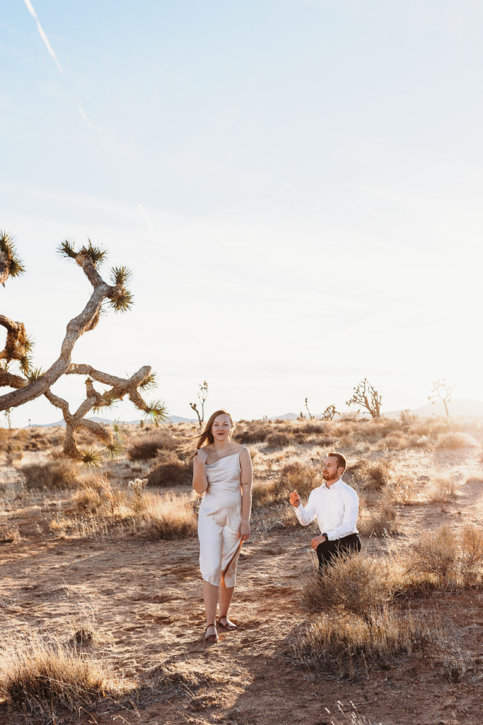 engagement photos at joshua tree for proposal
