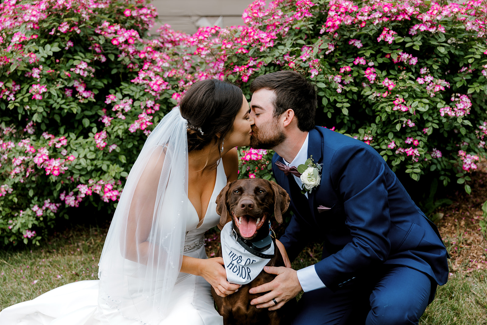 bride and groom kissing in front of a flower bush with their dog in the middle