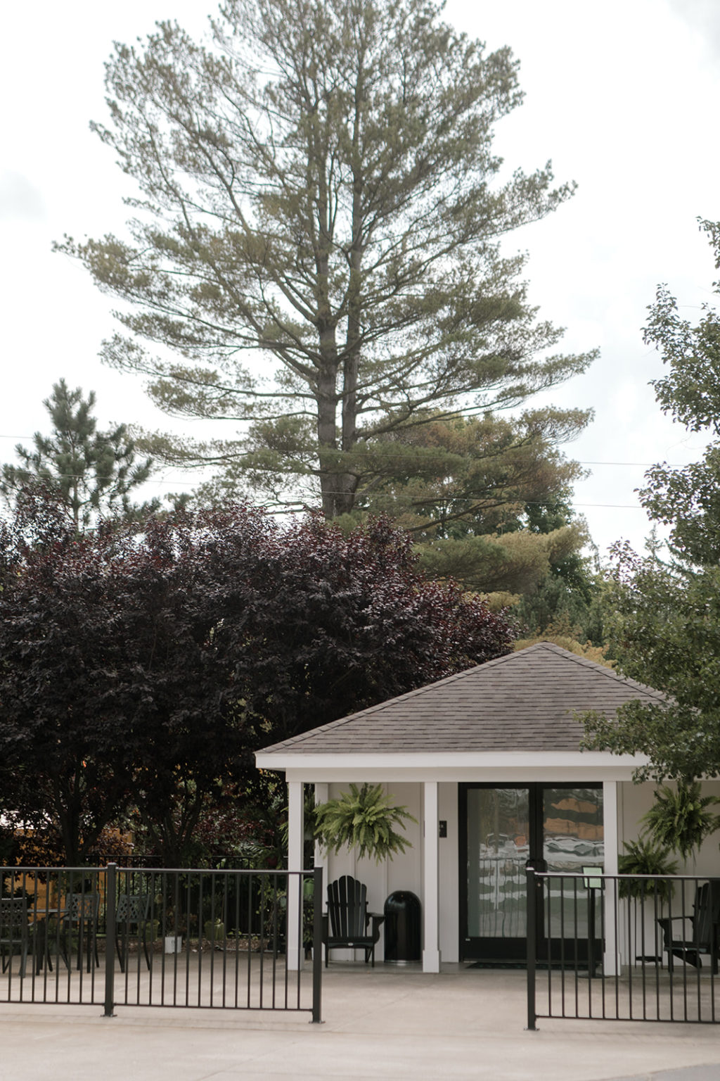 Lindsay Elaine Ivy House Greenhouse Wedding Venue